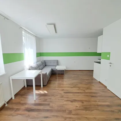 Zentral gelegenes 1-Zimmer-Apartment in ruhiger Seitengasse des 7. Bezirks - Bild 2