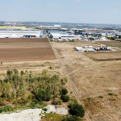 "Bauerwartungsland, unmittelbar angrenzend an den Industriepark Hagenbrunn! - Bild 2