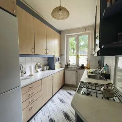 4,5% Rendite! 2-Zimmerwohnung mit Garten in direkter Schönbrunn-Nähe - Bild 2