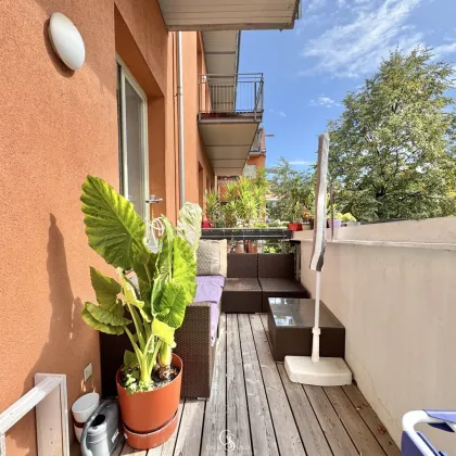 Attraktive 3-Zimmer-Wohnung mit Süd-Balkon und großzügiger Raumhöhe - Bild 3
