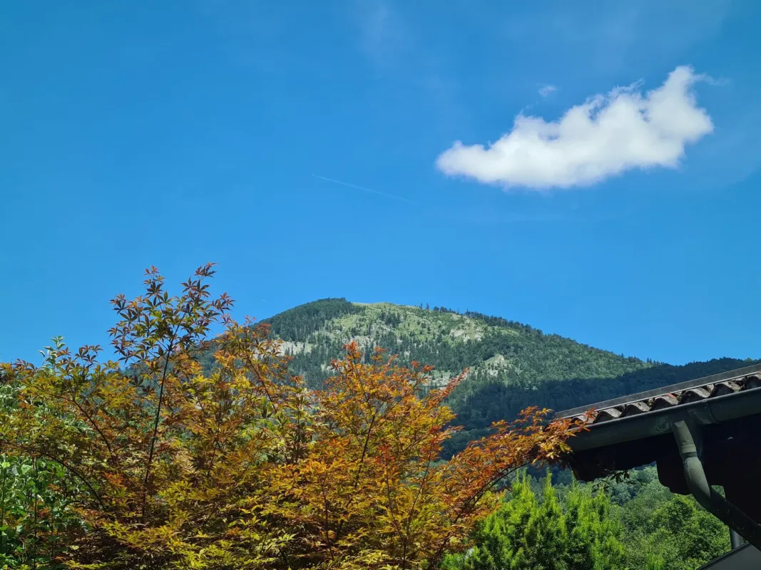 Exklusives Grundstück in Villen-Ruhelage - Bild 1