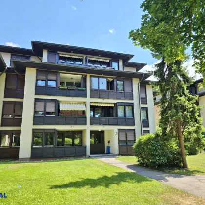 3 Zimmer – Loggia - Garage - Renovierungsbedarf - Bild 3