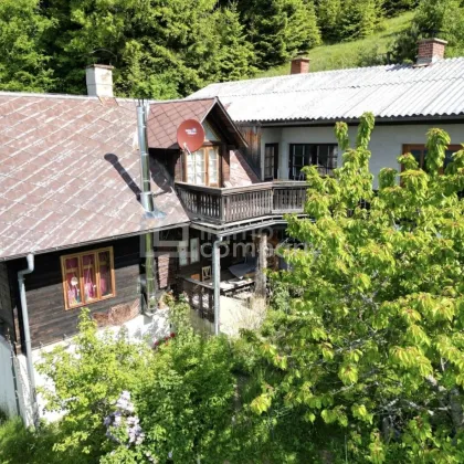 Doppelhaus-Ensemble in traumhafter Höhenlage! - Bild 2