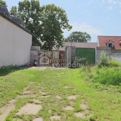 Zwei Wege, ein Zuhause -sanierungsbedürftiges Haus mit großem Garten - Bild 2