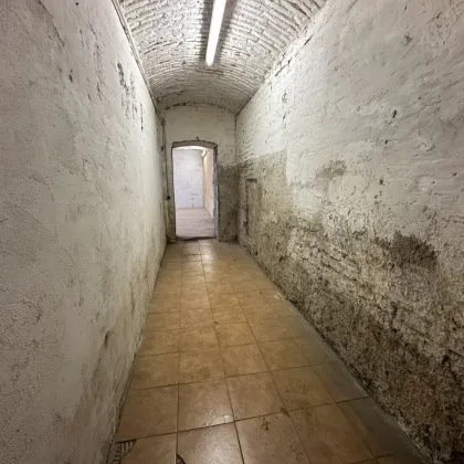 Lagerraum im Souterrain an der Laxenburger Straße - Bild 3