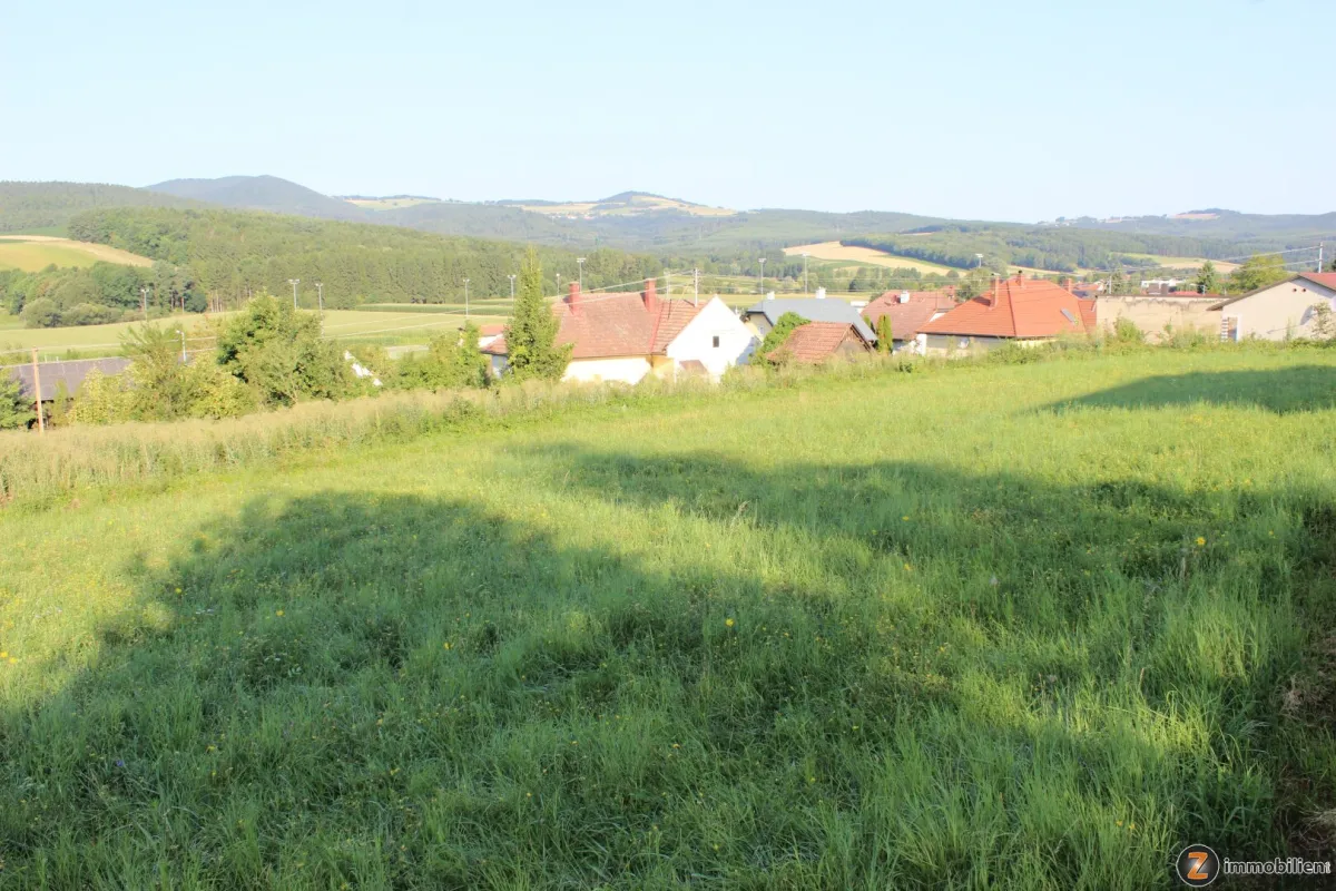 Pilgersdorf: Schönes Baugrundstück in ruhiger Aussichtslage - Bild 1