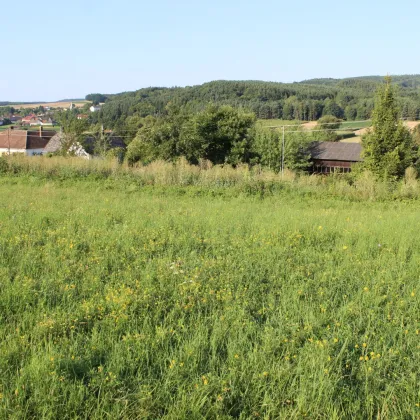 Pilgersdorf: Schönes Baugrundstück in ruhiger Aussichtslage - Bild 3