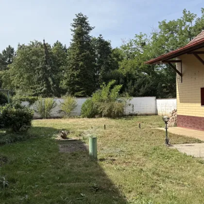 Wohntraum im Weinviertel – Haus mit großem Gestaltungspotenzial - Bild 3