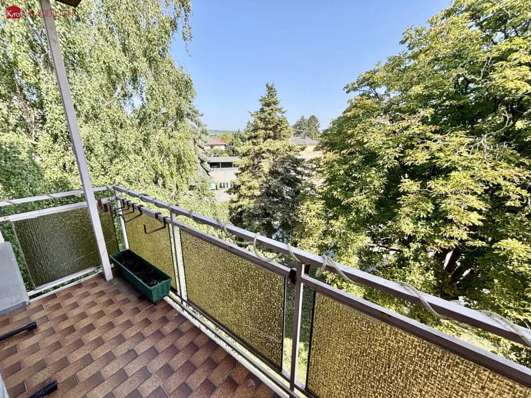 3 Zimmerwohnung für sportliche in Auersthal - Bild 1