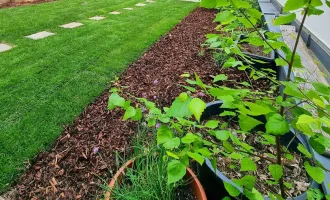 Secret Garden - Erstbezug! TOP saniert + Herrlicher Eigengarten + Hofseitiger Balkon + Viel Grün + Viel Lebensqualität + Absolute Ruhelage + Ideale Raumaufteilung! Besser geht´s nicht! Nicht lange zögern...