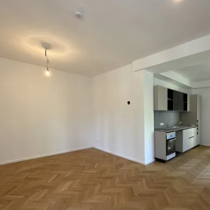 Großzügige Maisonette Wohnung in schöner Altbauvilla - Nähe Wiener Neustadt - Bild 3