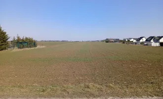 3 neue leistbare Baugrundstücke von 528 m2 - 613 m2 in Gänserndorf