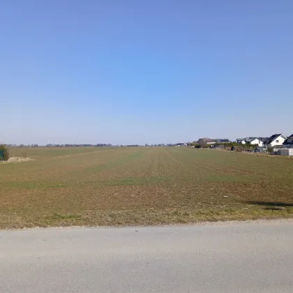 3 neue leistbare Baugrundstücke von 528 m2 - 613 m2 in Gänserndorf - Bild 2