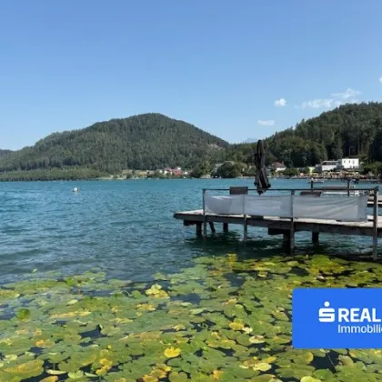 Herbstidylle am Klopeiner See - Neuwertiges Wohnhaus in Ruhelage - Bild 3