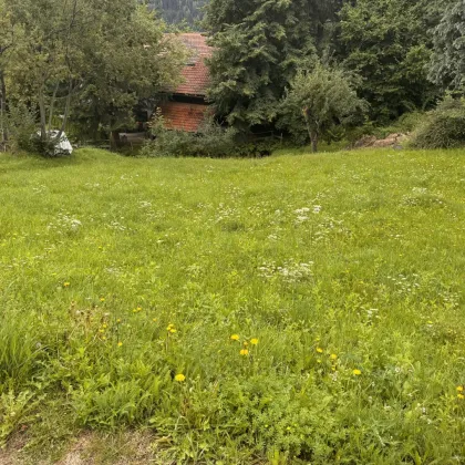 Ihr Baugrundstück in idyllischer Lage oberhalb von Radenthein, St. Peter, mit Bergblick! - Bild 3