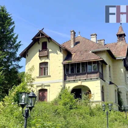 Herrschaftliches, historisches Anwesen, 94.000m² Grund, WNFL 720m², absolute Ruhelage in Pressbaum! - Bild 3