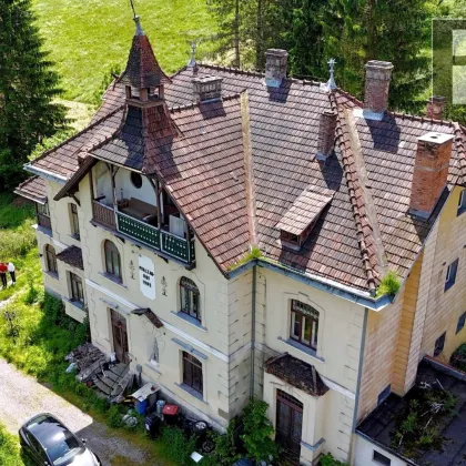 Herrschaftliches, historisches Anwesen, 94.000m² Grund, WNFL 720m², absolute Ruhelage in Pressbaum! - Bild 2