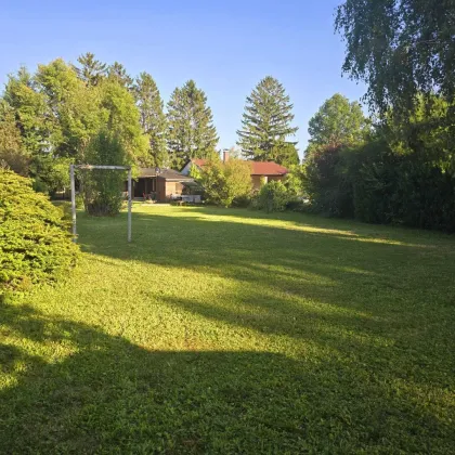 + SOMMERAKTION - EINMALIGE CHANCE + Ferienhaus am Neufelder See - Möglich auch als Zweitwohnsitz - paar Minuten vom Badesee entfernt - Privatstraße um nur € 44.900,- - Bild 3
