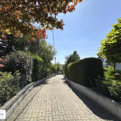 Ihr Traumgrundstück zum Bauen - ein Platz zum Leben, Lieben und Ankommen - Bild 3