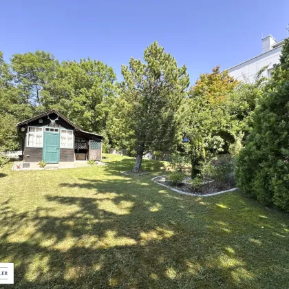 Ihr Traumgrundstück zum Bauen - ein Platz zum Leben, Lieben und Ankommen - Bild 2