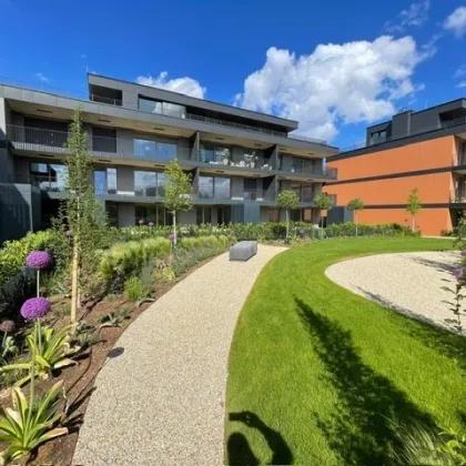 Ihr exklusives Penthouse mit 177 m² Dachterrasse in absoluter Grünruhelage und zugleich Nahe Wien - ERSTBEZUG. - Bild 2