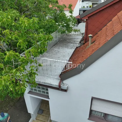 Renovierungsbedürftiges Haus mit Grünblick in Trautmannsdorf/Leitha zu verkaufen! - Bild 3