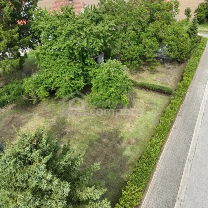 Renovierungsbedürftiges Haus mit Grünblick in Trautmannsdorf/Leitha zu verkaufen! - Bild 2