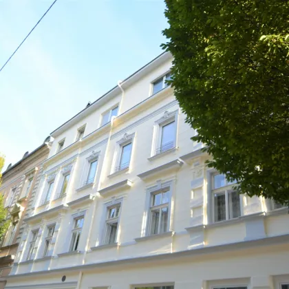 Klein UND Fein - Gemütliche 3-Zimmer-Wohnung mit neuer Einbauküche ab Mitte November! - Bild 3