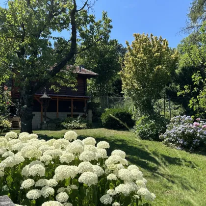 Neustift am Walde + FERNBLICK + RUHELAGE + EIGENGRUND! - Bild 2