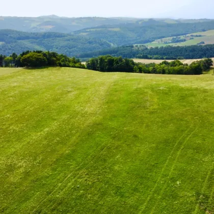Grundstück mit Baumbestand für landwirtschaftliche Zwecke | 60.053 m² | Schwarzenbach in der Buckligen Welt - Bild 3
