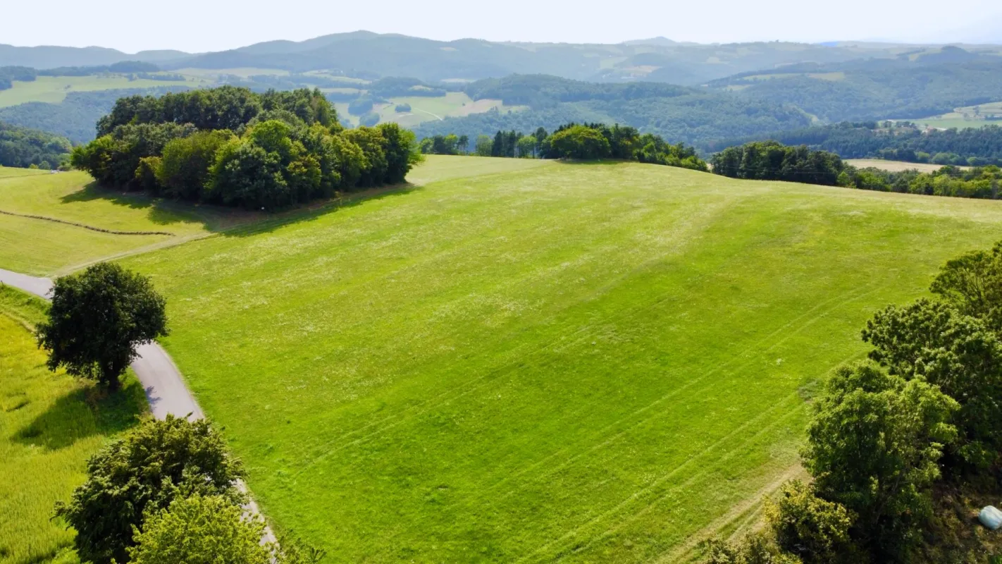 Grundstück mit Baumbestand für landwirtschaftliche Zwecke | 60.053 m² | Schwarzenbach in der Buckligen Welt - Bild 1