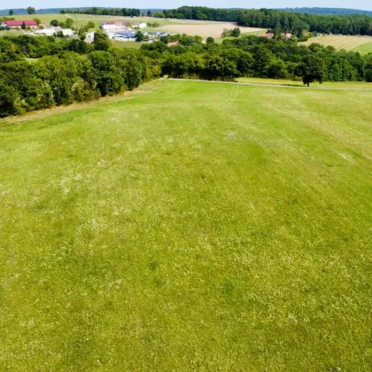 Grundstück mit Baumbestand für landwirtschaftliche Zwecke | 60.053 m² | Schwarzenbach in der Buckligen Welt - Bild 2