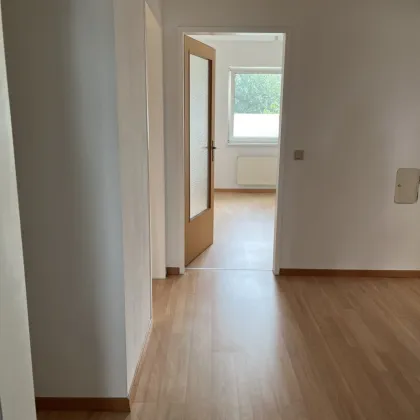 3-Zimmer-Wohnung in Hörsching - Bild 2