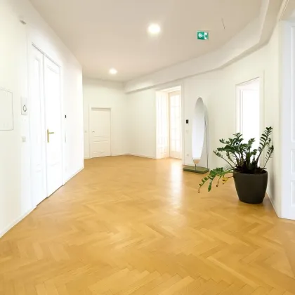 Repräsentative  Bürofläche/Praxis im Stilaltbau direkt beim Karlsplatz/Karlskirche  zu vermieten! - Bild 3