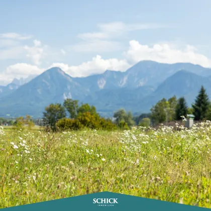 Unser Traum im Grünen - Bild 2