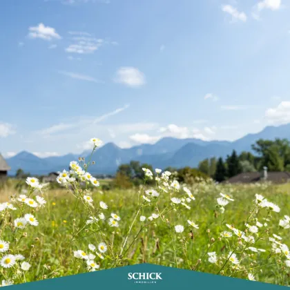 Unser Traum im Grünen - Bild 3