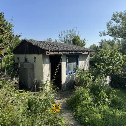 Einfamilienhaus mit zwei Wohneinheiten in Einzellage Nähe Tullnerfelder Bahnhof - Bild 3