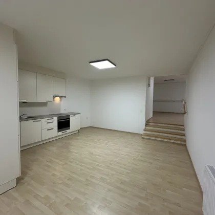 4-Zimmer mit Terrasse im Erdgeschoss in 2100 Korneuburg - Bild 2