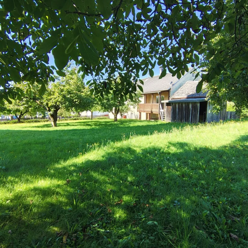 Traumhaftes Grundstück im Herzen von Katsdorf mit Altbestand – sonniger Garten & viel Potenzial! - Bild 1