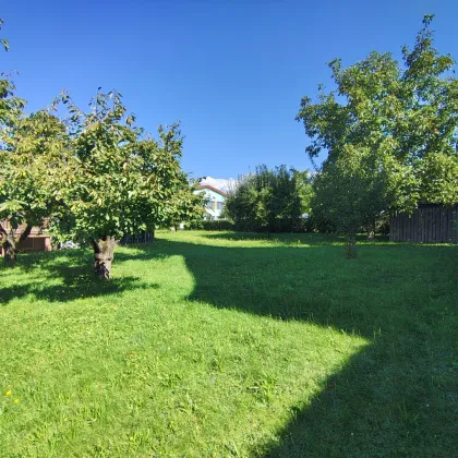 Traumhaftes Grundstück im Herzen von Katsdorf mit Altbestand – sonniger Garten & viel Potenzial! - Bild 3