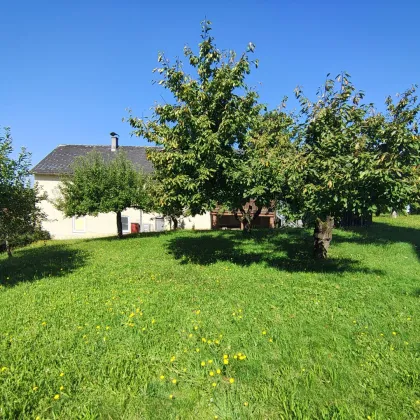 Traumhaftes Grundstück im Herzen von Katsdorf mit Altbestand – sonniger Garten & viel Potenzial! - Bild 2