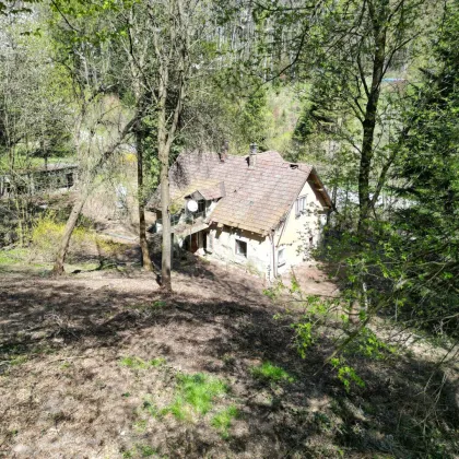 BAUGRUNDSTÜCK MIT ENTWICKLUNGSPOTENZIAL IN PRESSBAUM - Bild 3