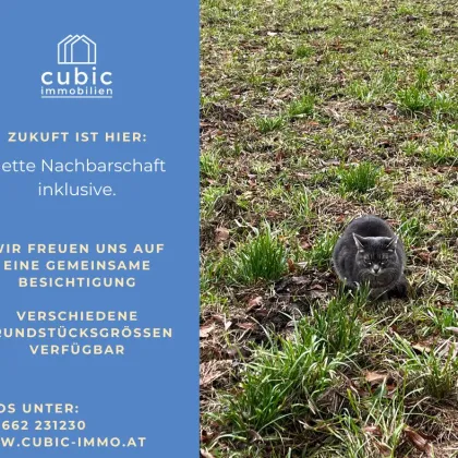 Bauen in St. Pantaleon_Grundstücksreserve am Grünland; Nähe Höllerersee - Bild 3