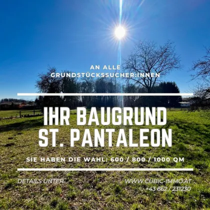 Bauen in St. Pantaleon_Grundstücksreserve am Grünland; Nähe Höllerersee - Bild 2