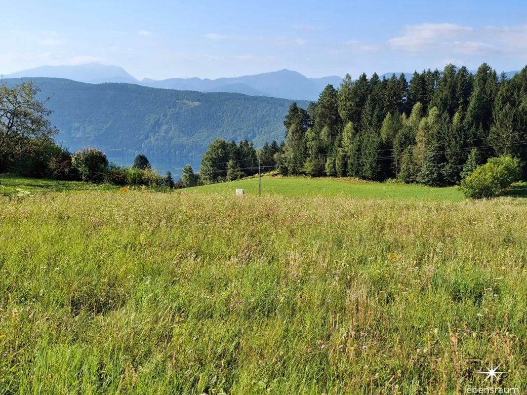 Traumhaftes Baugrundstück in Sappl, Kärnten – Blick auf den Millstätter See. - Bild 1