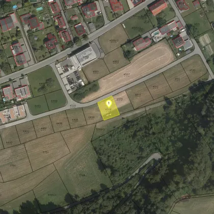 Neubau-Doppelhaus in Feldkirch - Bild 2