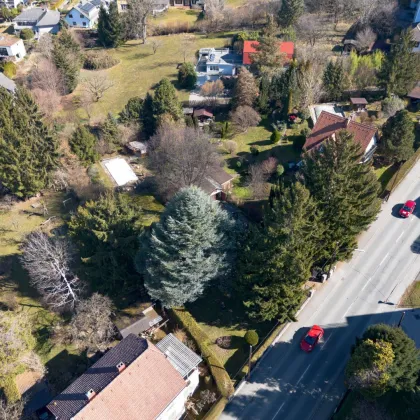 Traumhaftes Grundstück in Grazer Bestlage mit Stadtblick - Bild 2