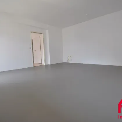 ATTRAKTIVES 3 ZIMMER BÜRO IN EBELSBERG - BT02 - Bild 3