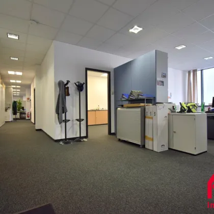 IHR NEUES WOHLFÜHLOFFICE ERWARTET SIE - JETZT GLEICH EINZIEHEN - B01 - Bild 3