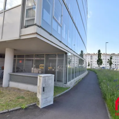 GROSSZÜGIGE RÄUME, ZEITGEMÄSSE AUSSTATTUNG - IHR NEUES BÜRO ERWARTET SIE - 1.OG - Bild 2